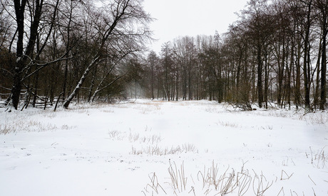 Winter in Almere
