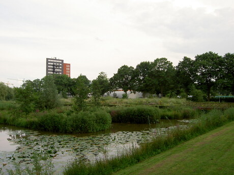 Westerpark2