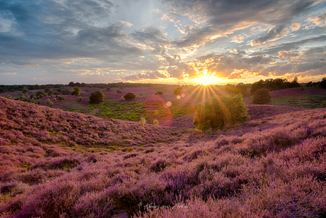 Posbank zonsondergang