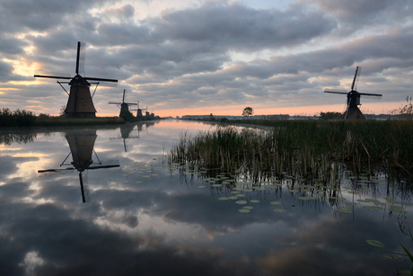 Kinderdijk