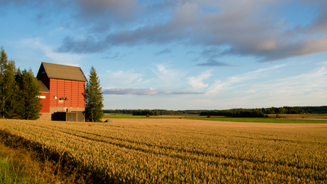 Graanveld Finland