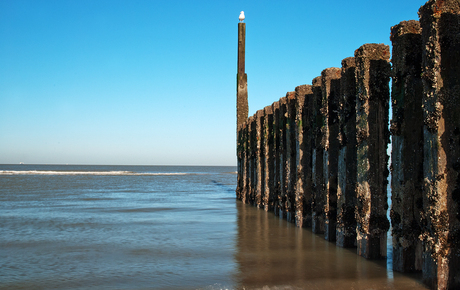 zeeland zee westkapelle