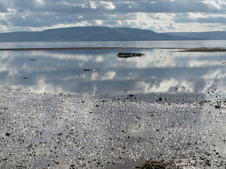 lough Foyle Ierland