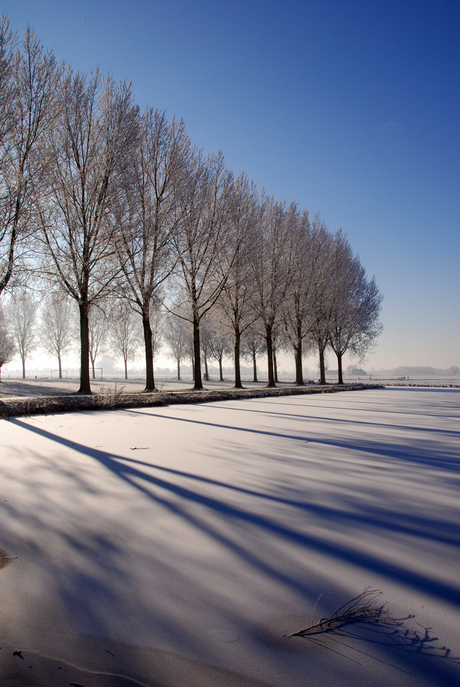 Winter shadows