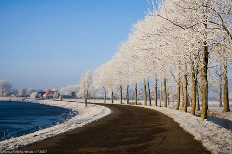 Winter aan het Damsterdiep (2)