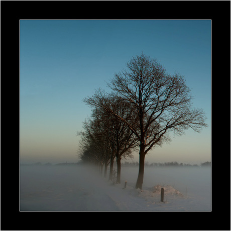 Landschap in Esbeek Nbr