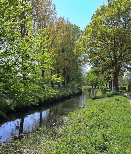Lente wandeling in Rimburg (Landgraaf)
