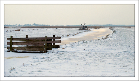 Winter in de polder