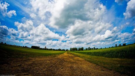 summer strikes the field