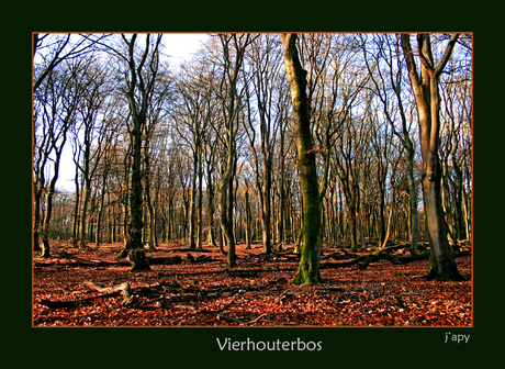 Vierhouterbos