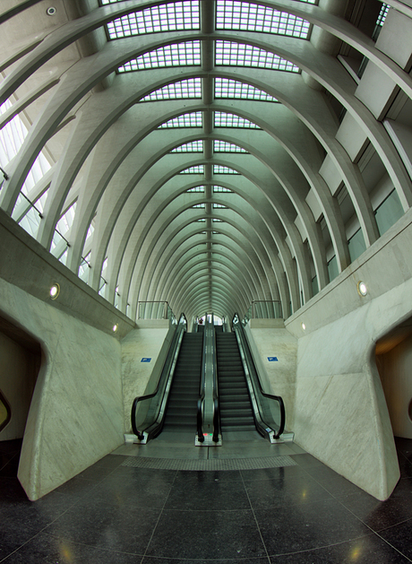 Luik-Guillemins 7/7