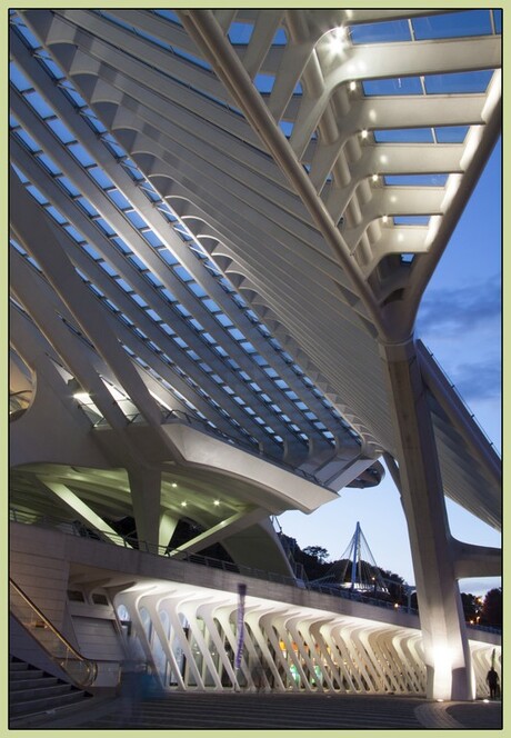 Station Guillemins Luik