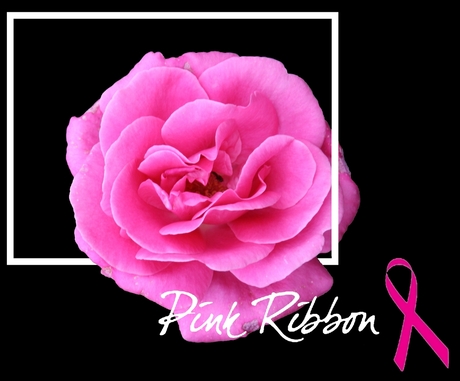 roos voor pink ribbon