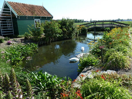 Jacco's bruggetje in Andijk