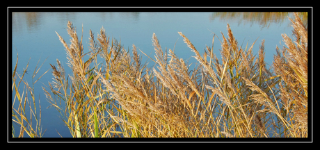 opdracht landschap