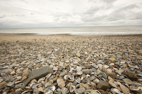 Beach of Ireland