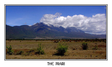 The Prairi