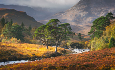 Ancient Scotland