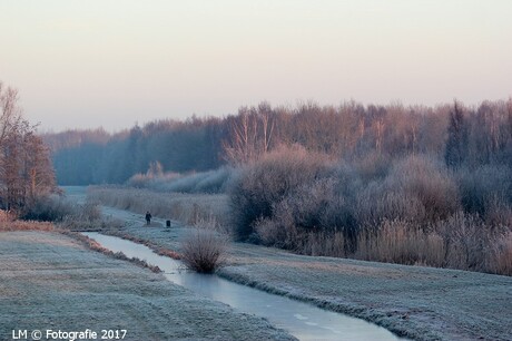 22-01-2017 (6)De eenzame wandelaar.