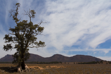 AUS - Flinders Ranges