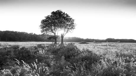 Duinen september 2016 - 1