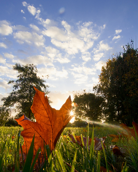 Mooie herfstdag