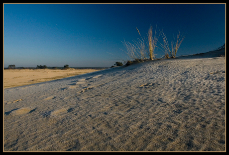 kootwijkerzand