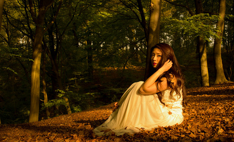 Enchanted Forest 020