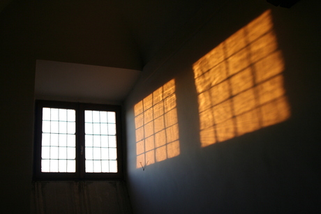 window