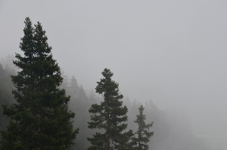Mist in de Oostenrijkse bergen