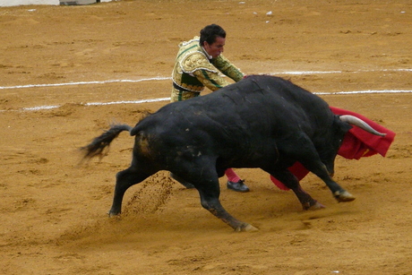 Feria del Toro