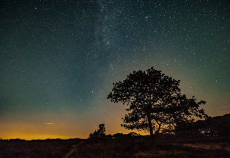 Een nacht op de heide