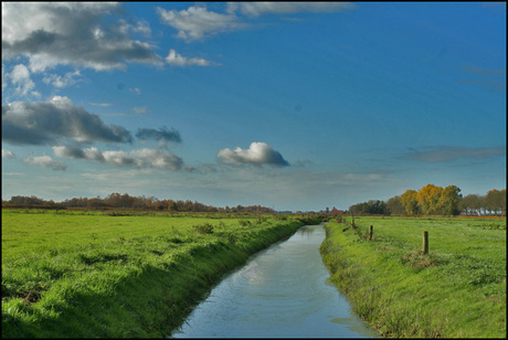 Polderlandschap