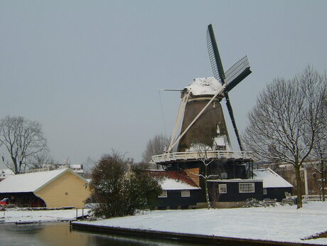 De stads molen van utrecht