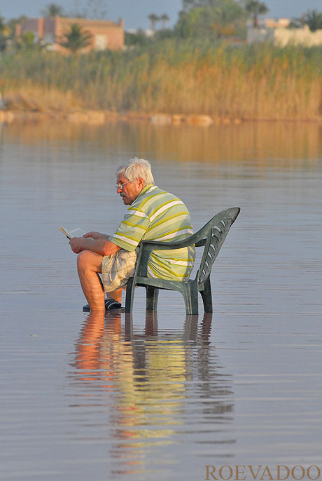 Lezen in het zoutmeer!