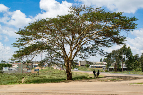 Nanyuki Equator