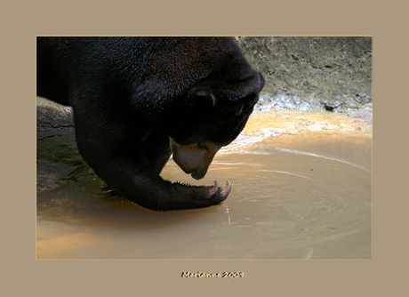 Washing hands