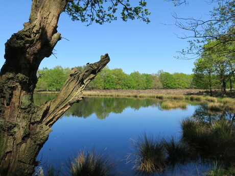 Vennetje