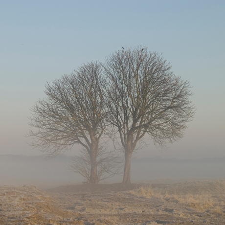 Koud en mistig Wassenaar