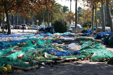 Visnetten in Mallorca