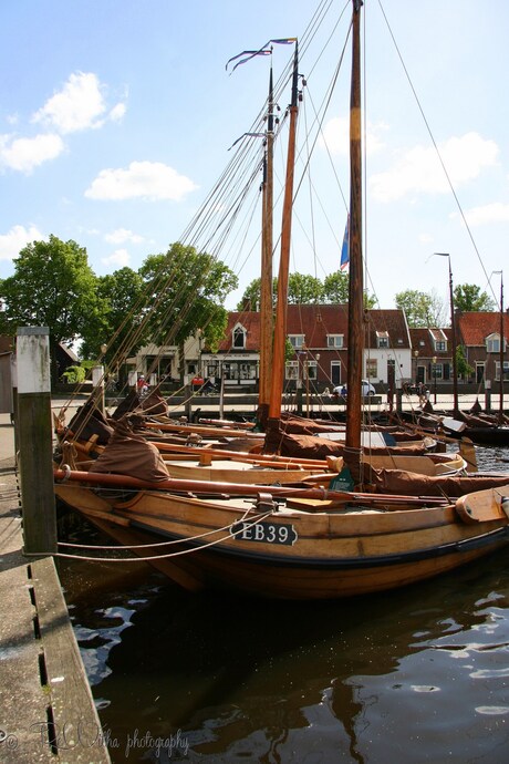 Botters in de Haven.