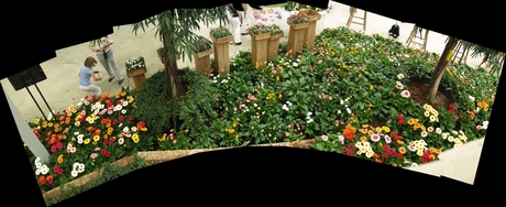 Panorama foto van een bloementuin op de Floriade.