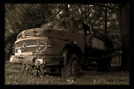 Oude vrachtwagen in het bos