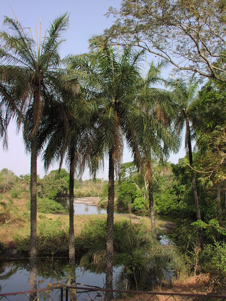 Darsalami - Gambia
