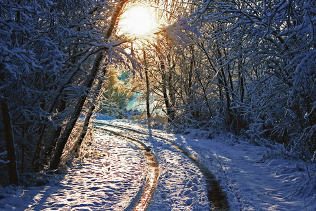 Winter in Nederland