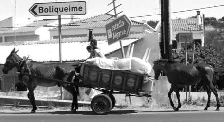 Transport per paard