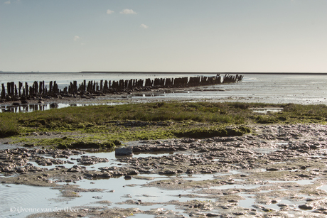 Moddergat bij laag water 2