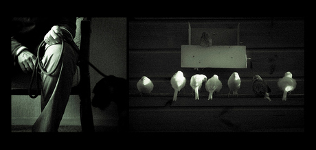 van een serie "eigen wijk"