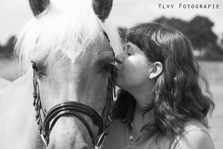 Tessa met haflinger