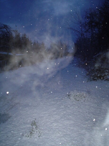 Winterbeeld in de ochtend